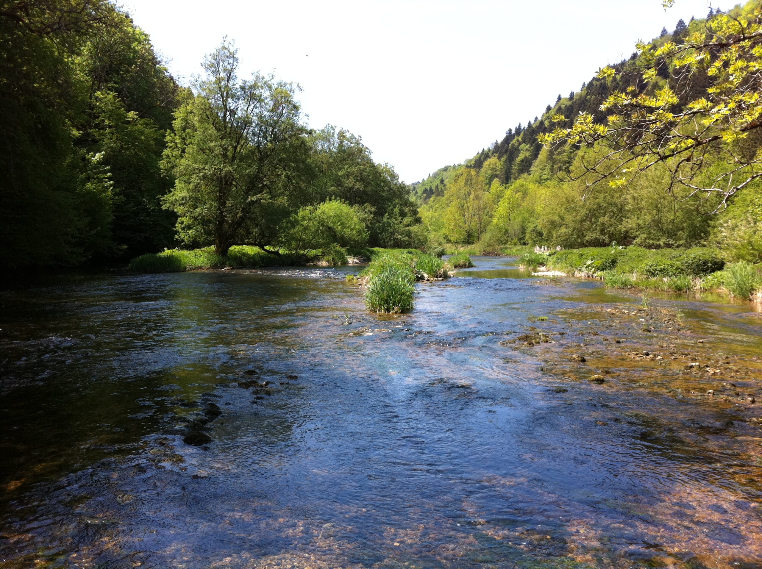 Pêche sur le Doubs – Le long du Doubs